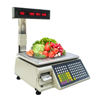 Platform Scale supplier Malaysia